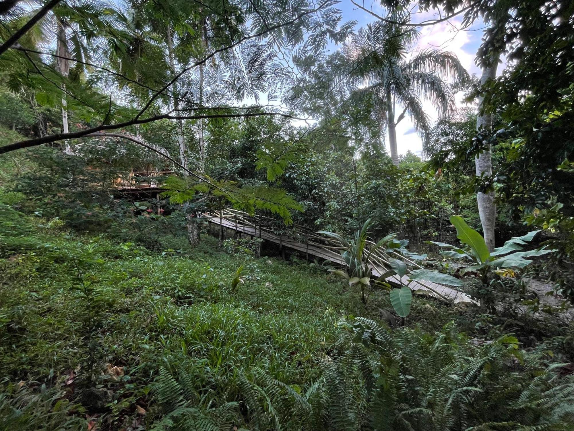 Rancho Romana Ecolodge Park V-01 El Limon 외부 사진